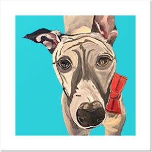 Italian Greyhound Dog Posters and Art